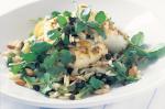 American Squid Salad With Cumin Seed and Mustard Dressing Recipe Dinner