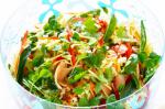 American Crunchy Asian Salad Recipe Appetizer