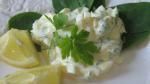 American Cilantro Egg Salad Recipe Appetizer