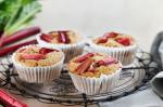 American Rhubarb Bran Muffins Recipe Dessert