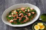 American Salmon and Baby Broccoli Quinoa Salad With Winter Pesto Recipe Appetizer