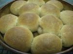 American Wholewheat Parker House Rolls Appetizer