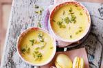 British Lemon Thyme Pots De Creme Recipe Appetizer