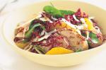 American Radicchio and Fennel Pork Salad Recipe Appetizer