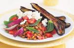 American Roast Eggplant and Lentil Salad Recipe Appetizer