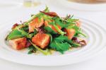 American Salmon and Asparagus Salad Recipe Appetizer