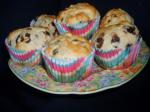 British Chocolatechip Muffins Dessert