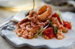 American Spicy Calamari With Tomato Caperberries and Pine Nuts Recipe Appetizer