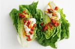 American Spring Lettuce With Aioli Recipe Appetizer