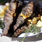 Grilled Trout with Herbs recipe