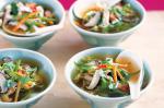 American Asianstyle Chicken Soup Recipe Appetizer