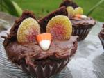 British Twit Twooo Hooting Halloween Owls  Halloween Cupcakesmuffins Dessert