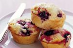 British White Chocolate And Blackberry Muffins Recipe Dessert