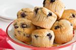 British Classic Blueberry Muffins Recipe Dessert