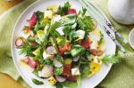 British Sashimi Salad With Wasabi and Passionfruit Dressing Recipe Appetizer