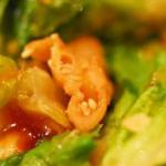 Chinese Hoisin orange Chicken Salad and Wraps Appetizer