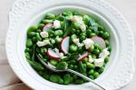 Green Pea And Radish Salad Recipe recipe