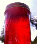 American Pomegranate Jelly 3 Appetizer