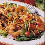 American Shrimp Taco Salad Appetizer