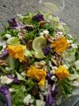 French Chicoryendive Roquefort and Walnut Salad Appetizer