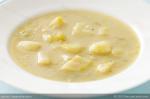 Australian Chunky Leek and Potato Soup Appetizer