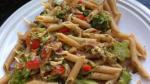Penne with Red Pepper Sauce and Broccoli Recipe recipe
