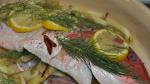 American Red Snapper with Fennel and Garlic Recipe Dinner