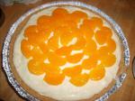 American Arctic Orange Pie Dessert
