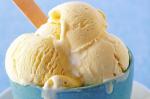 Vanilla Bean Icecream Recipe recipe