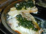 American Red Snapper With Herbs Dinner