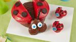 British Ladybug Cake and Cupcakes Dessert