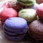 French Macaroons in Chocolate Dessert