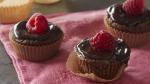 American Glutenfree Chocolate Raspberry Mini Tarts Dessert