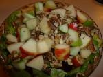 American Apple Beet and Walnut Salad Appetizer