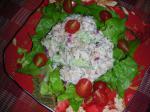 British Lemony Tuna Salad 1 Dinner