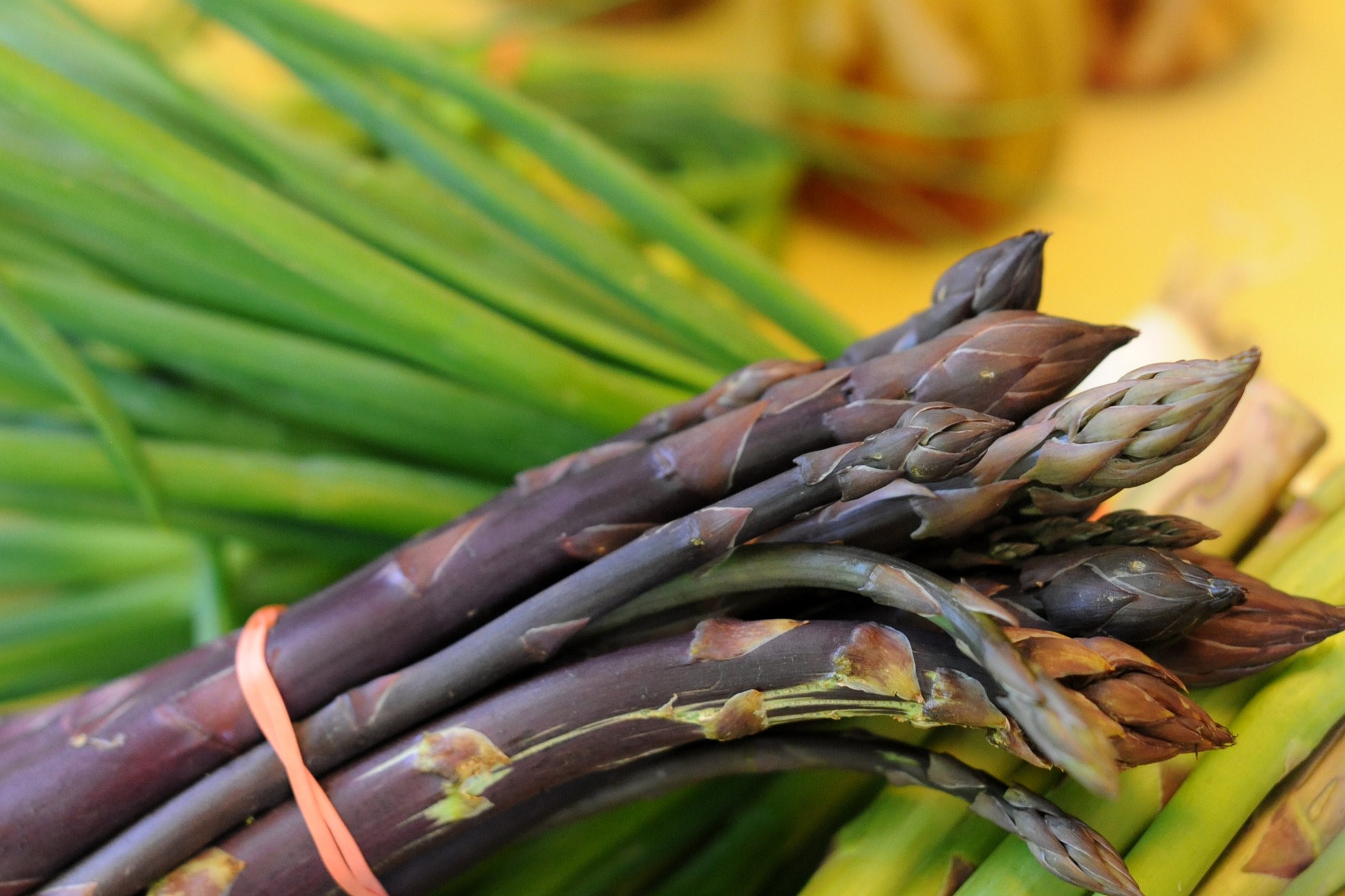 Australian Pickled Asparagus Recipe 2 Appetizer