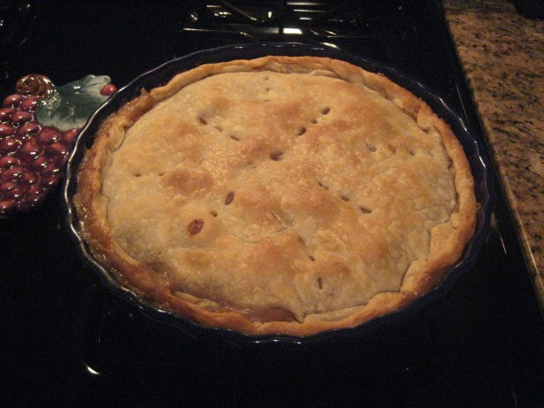 American Beef Pot Pie  the Best Appetizer