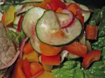 Australian Refreshing Vegetable Salad Appetizer