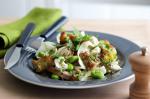 Australian Chicken Fennel and Broad Bean Salad Recipe Appetizer