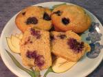Australian Blackberry Muffins 7 Dessert