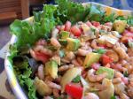 American Artichoke Avocado Shrimp Salad Appetizer