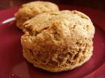 American Sourdough Whole Wheat Biscuits Appetizer