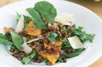 Australian Warm Pumpkin And Brown Lentil Salad Recipe Appetizer