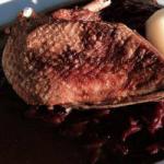 American Duck Filled with Chestnuts Very Classic Appetizer