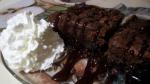 Canadian Hot Fudge Chocolate Pudding Cake Dessert