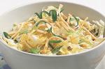 Australian Oriental Fried Noodle Salad Recipe Appetizer