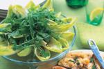 American Witlof Salad Recipe Appetizer