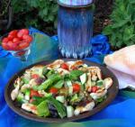 American Greek Grilled Chicken Salad Appetizer