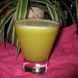 American Fennel and Apple Juice for Health Appetizer