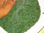 Croatian Croatian Spinach Stew  Spinat Cuspajz Appetizer